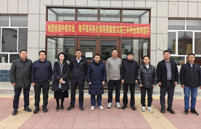 中信農業領導調研聯創種業東華北一線市場